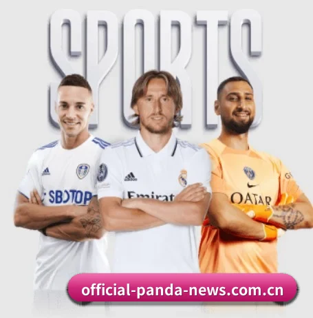 熊猫体育的方向