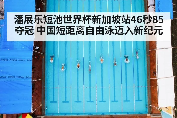 潘展乐短池世界杯新加坡站46秒85夺冠 中国短距离自由泳迈入新纪元