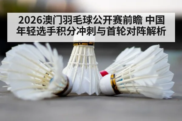 badminton shuttlecock court
